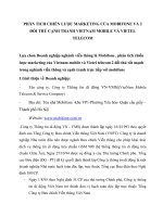phân tich chiến lược marketing của vietnam mobile và vietel telecom 