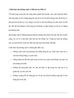 Chiến lược đại dương xanh và thất bại của thương hiệu PHở 24 