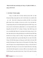 Phân tích chiến lược marketing của công ty cổ phần EVERPIA và công ty HANVICO 