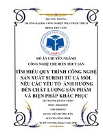 Tìm hiểu quy trình công nghệ sản xuất surimi từ cá mối, các yếu tố ảnh hưởng đến chất lượng sản phẩm và biện pháp khắc phục