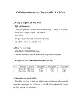 Chiến lược marketing của công ty cổ phần LP việt nam 