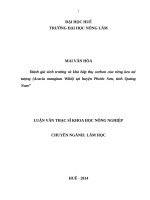 ĐÁNH GIÁ SINH TRƯỞNG VÀ KHẢ NĂNG HẤP THỤ CARBON CỦA RỪNG KEO TAI TƯỢNG (ACACIA MANGIUM WILD) TẠI HUYỆN PHƯỚC SƠN, TỈNH QUẢNG NAM
