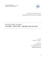 Hồ sơ tổ chức sự kiện cầu hôn đám cươi the best day of live