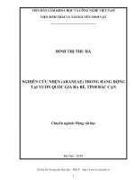 Nghiên cứu nhện (Araneae) trong hang động tại vườn quốc gia Ba Bể, tỉnh Bắc Kạn(Luận văn thạc sĩ)