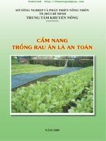 tài liệu hướng dẫn trồng rau ăn lá an toàn