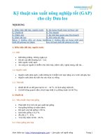 Qui trình sản xuất dưa leo theo GAP