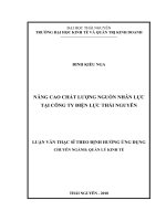 Nâng cao chất lượng nguồn nhân lực tại Công ty Điện lực Thái Nguyên (Luận văn thạc sĩ)