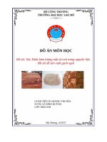 Đồ án môn học Xác định các hàm lượng oxit trong đất sét