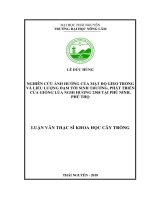 Nghiên cứu ảnh hưởng của mật độ gieo trồng và liều lượng đạm tới sinh trưởng, phát triển của giống lúa Nghi hương 2308 tại Phù Ninh, Phú Thọ (Luận văn thạc sĩ)