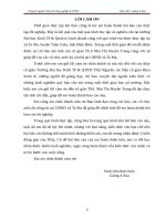 “Đánh giá thực trạng xây dựng nông thôn mới tại xã Ta Ma, huyện Tuần Giáo, tỉnh Điện Biên”.