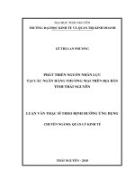 Phát triển nguồn nhân lực tại các Ngân hàng Thương mại trên địa bàn tỉnh Thái Nguyên (Luận văn thạc sĩ)