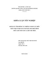 KHẢO SÁT TÌNH HÌNH VẤY NHIỄM VI SINH VẬT TRÊN THÂN THỊT Ở MỘT SỐ CƠ SỞ GIẾT MỔ THEO HÌNH THỨC GIẾT MỔ NẰM VÀ GIẾT MỔ TREO