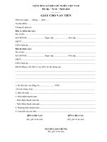 Mau-giay-vay-tien-ca-nhan