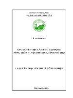 Giải quyết việc làm cho lao động nông thôn huyện Phù Ninh, tỉnh Phú Thọ (Luận văn thạc sĩ)