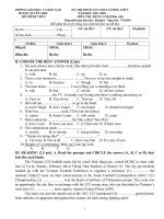 de khao sat tuyen sinh 9  tieng anh  dap an