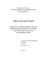 NGHIÊN CỨU CÁC BIỆN PHÁP PHÒNG VÀ ĐIỀU TRỊ BỆNH VIÊM MÓNG TRÊN BÒ SỮA TẠI XÍ NGHIỆP CHĂN NUÔI AN PHÚ, HUYỆN CỦ CHI, THÀNH PHỐ HỒ CHÍ MINH