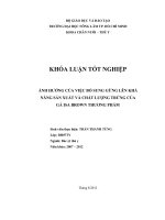 ẢNH HƯỞNG CỦA VIỆC BỔ SUNG GỪNG LÊN KHẢ NĂNG SẢN XUẤT VÀ CHẤT LƯỢNG TRỨNG CỦA GÀ ISA BROWN THƯƠNG PHẨM