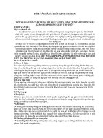 GIẢI PHÁP XÂY DỰNG ĐỘI NGŨ CÁN BỘ, GIÁO VIÊN TẠI TRƯỜNG MẪU GIÁO HOA PHƯỢNG QUẬN THỐT NỐT