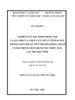 Nghiên cứu đặc điểm hình ảnh và giá trị của chụp cắt lớp vi tính 64 dãy trong chẩn đoán tổn thương mạch vành ở bệnh nhân tim thiếu máu cục bộ mạn tính tt