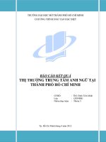 BÁO CÁO KẾT QUẢ THỊ TRƯỜNG TRUNG TÂM ANH NGỮ TẠI THÀNH PHỐ HỒ CHÍ MINH