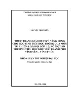 Thực trạng giáo dục kỹ năng sống cho học sinh tiểu học thông qua môn Tự nhiên & xã hội lớp 1,2,3 ở một số trường tiểu học khu vực Thành phố Vĩnh Yên - Vĩnh Phúc