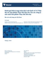 Đánh giá hiện trạng tuân thủ Luật Quốc tế về Tiếp thị các Sản phẩm Thay thế Sữa mẹ của các công ty sản xuất Sản phẩm Thay thế Sữa mẹ