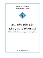 BÁO CÁO TÓM TẮT KẾT QUẢ TỰ ĐÁNH GIÁ
