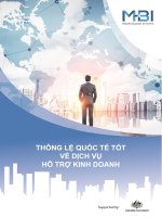 Thông Lệ Quốc Tế Tốt Về Dịch Vụ Hỗ Trợ Kinh Doanh
