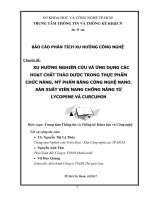 XU HƯỚNG NGHIÊN CỨU VÀ ỨNG DỤNG CÁC HOẠT CHẤT THẢO DƯỢC TRONG THỰC PHẨM CHỨC NĂNG, MỸ PHẨM BẰNG CÔNG NGHỆ NANO. SẢN XUẤT VIÊN NANG CHỐNG NẮNG TỪ LYCOPENE VÀ CURCUMIN