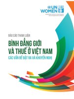 Báo Cáo Tham Luận Bình Đẳng Giới Và Thuế Ở Việt Nam Các Vấn Đề Đặt Ra Và Khuyến Nghị