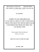 Nghiên cứu đặc điểm hình ảnh và giá trị của chụp cắt lớp vi tính 64 dãy trong chẩn đoán tổn thương động mạch vành ở bệnh nhân bệnh tim thiếu máu cục bộ mạn tính (TT)