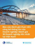 Báo cáo đánh giá thực tiễn công bố thông tin của Doanh nghiệp: Đánh giá 30 Doanh nghiệp lớn nhất tại Việt Nam