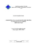 ẢNH HƯỞNG CỦA CALCIUM LÊN SINH TRƯỞNG VÀ NĂNG SUẤT LÚA TRỒNG TRÊN ĐẤT MẶN