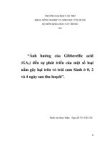 Ảnh hưởng của Gibberellic acid (GA 3 ) đến sự phát triển của một số loại nấm gây hại trên vỏ trái cam Sành ở 0, 2 và 4 ngày sau thu hoạch