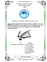 ĐIỀU KIỆN PHÁT SINH, PHÁT TRIỂN VÀ LAN TRUYỀN BỆNH CỦA VI KHUẨN CÓ NGUỒN GỐC TỪ ĐẤT (RALSTONIA SOLANACERUM VÀ ERWINIA CAROTOVORA)