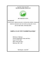 Áp dụng quy trình chăm sóc, nuôi dưỡng và phòng, trị bệnh sinh sản cho đàn lợn nái nuôi tại trại huy toan, huyện điện biên, tỉnh điện biên 