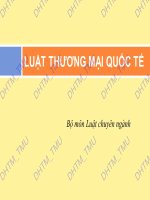 LUẬT THƯƠNG MẠI QUỐC TẾ