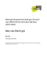 Đánh giá Chương trình Quốc gia, Chu kỳ 8 của UNFPA hỗ trợ Chính phủ Việt Nam (2012-2016)