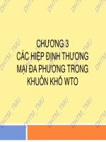 LUẬT THƯƠNG MẠI QUỐC TẾ