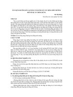 XÂY DỰNG HƯỚNG DẪN LẬP BÁO CÁO ĐÁNH GIÁ TÁC ĐỘNG MÔI TRƯỜNG ĐỐI VỚI DỰ ÁN TRỒNG RỪNG