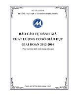 BÁO CÁO TỰ ĐÁNH GIÁ CHẤT LƯỢNG CƠ SỞ GIÁO DỤC GIAI ĐOẠN 2012-2016