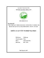 Thực hiện quy trình chăm sóc, nuôi dưỡng và phòng trị bệnh cho lợn nái tại trại bình minh  mỹ đức  hà nội 