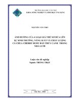 ẢNH HƯỞNG CỦA 4 LOẠI GIÁ THỂ XƠ DỪA LÊN SỰ SINH TRƯỞNG, NĂNG SUẤT VÀ CHẤT LƯỢNG CÀ CHUA CHERRY RUBYBÁN THỦY CANH TRONG NHÀ LƯỚI