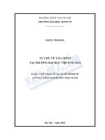 Luận văn tự chủ tài chính