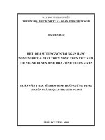 Hiệu quả sử dụng vốn tại Ngân hàng Nông nghiệp và Phát triển Nông thôn Việt Nam, chi nhánh huyện Định Hóa, tỉnh Thái Nguyên (Luận văn thạc sĩ)