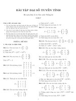 Baitapdaiso2017  GTVT