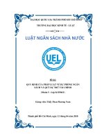 Qui định của pháp luật về dự trữ ngân sách và quỹ dự trữ tài chính
