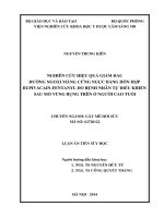 Nghiên cứu hiệu quả giảm đau đường ngoài màng cứng ngực bằng hỗn hợp bupivacain fentanyl do bệnh nhân tự điều khiển sau mổ vùng bụng trên ở người cao tuổi (Luận án thạc sĩ)