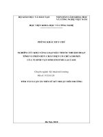 Nghiên cứu khả năng loại màu thuốc nhuộm hoạt tính và phân hủy chất diệt cỏ dioxin của vi sinh vật sinh enzyme laccase (tt) 