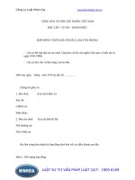 Mẫu hợp đồng thuê nhà